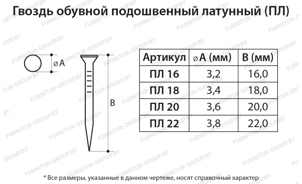 Гвоздь обувной подошвенный латунный (ПЛ).jpg